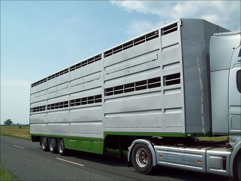 Used Trailers for sale Plowman Brothers