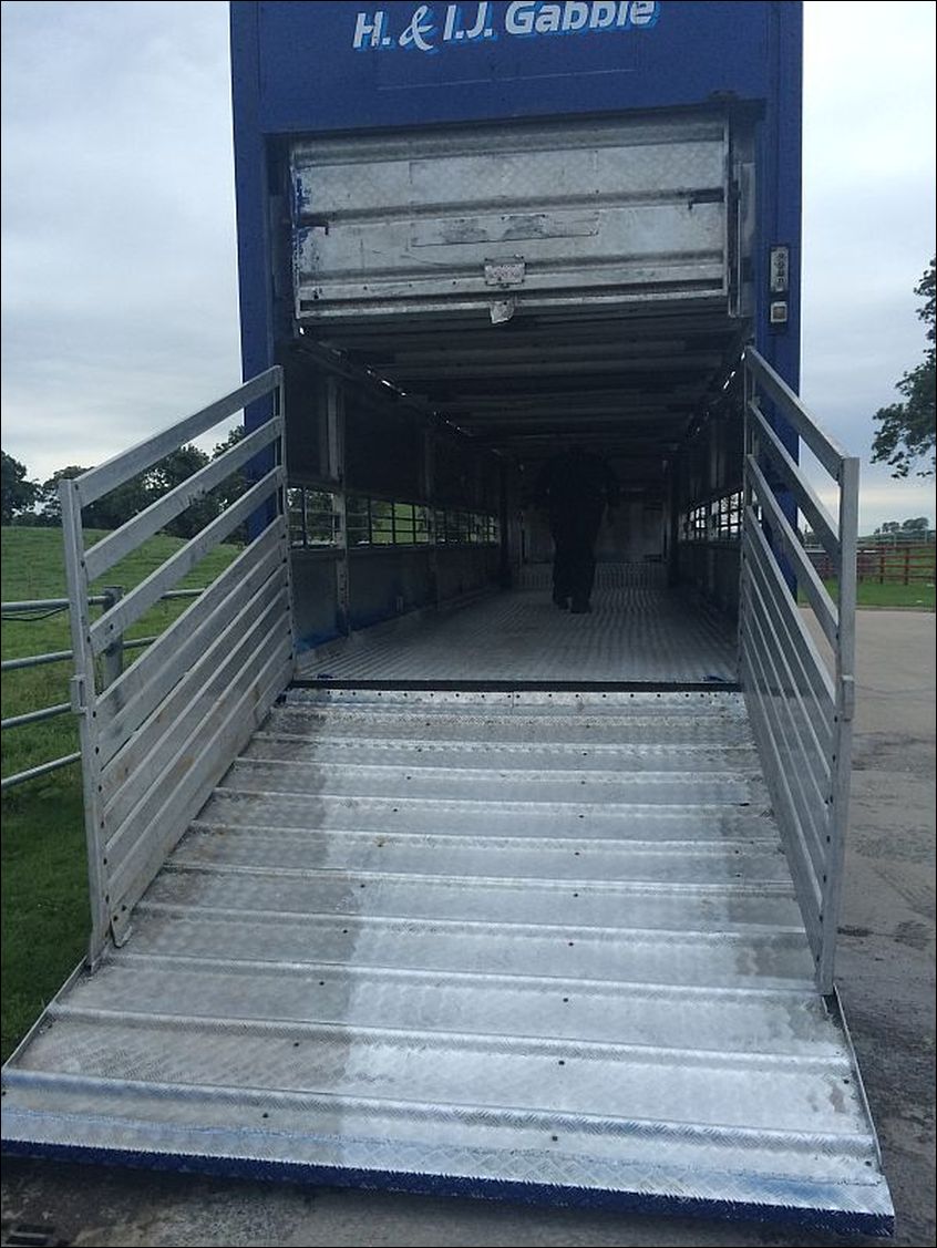 Ulster Trailer for sale Plowman Brothers
