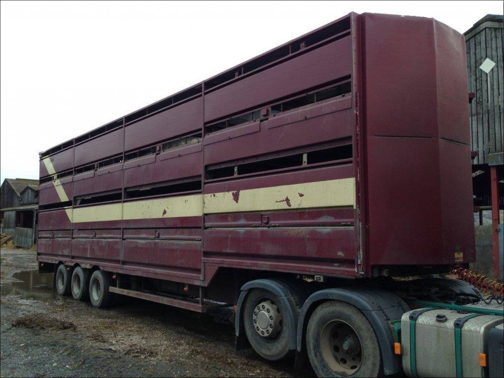 Used Livestock Trailer 1 Plowman Brothers
